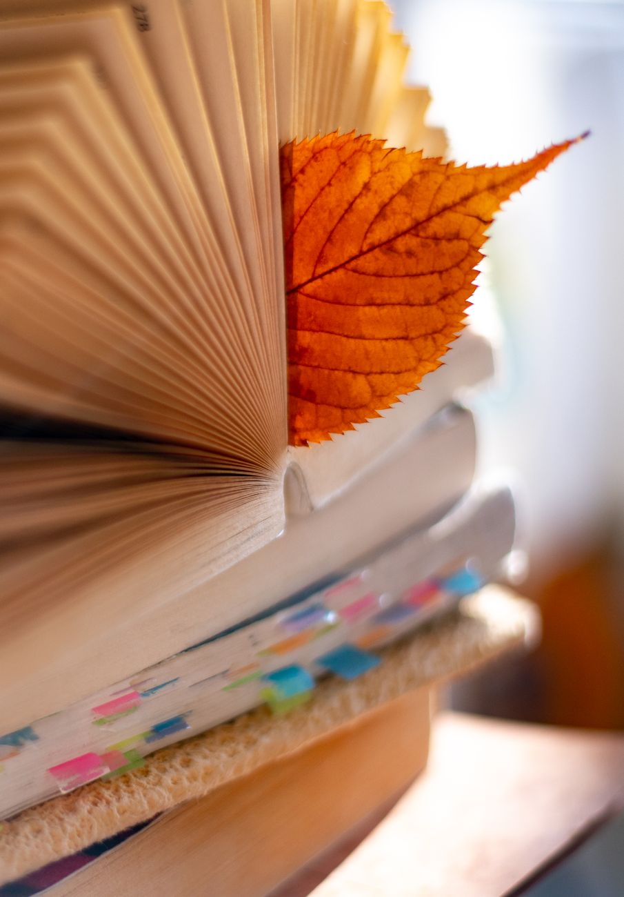 book with autumn leaf bookmark close up